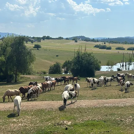 Relais Equestre Du Neufeld - Roulotte Nature *