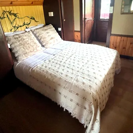 キャンプ場 Relais Equestre Du Neufeld - Roulotte Nature Oberhaslach