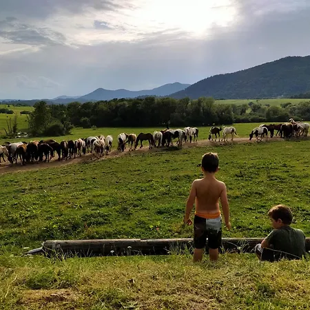 Relais Equestre Du Neufeld - Roulotte Nature Oberhaslach