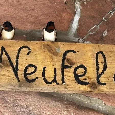 キャンプ場 Relais Equestre Du Neufeld - Roulotte Nature Oberhaslach